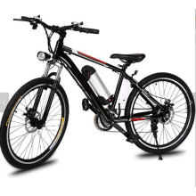 20" 7s 250W E-Bike 2020 New Electric Folding Adult Bicycle